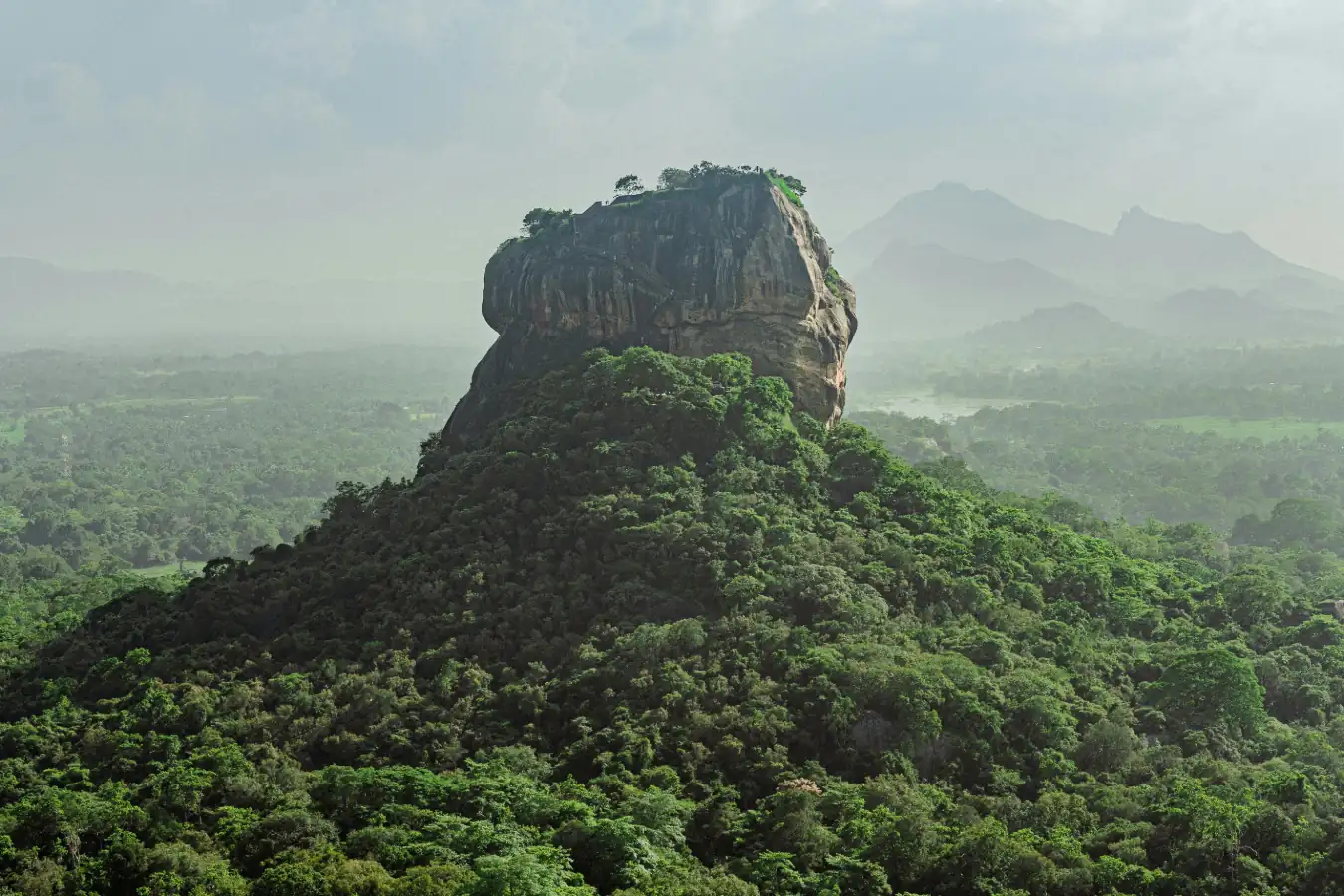 Airport / Pinnawala Elephant Orphanage / Sigiriya